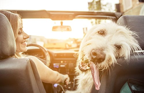 Automotive services right at your doorstep Nevada Reno 89433